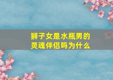 狮子女是水瓶男的灵魂伴侣吗为什么