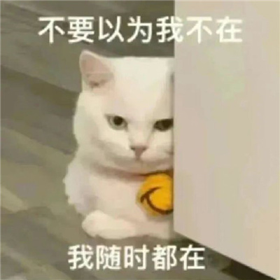 最新版超级猥琐的表情 你老公走了没_8