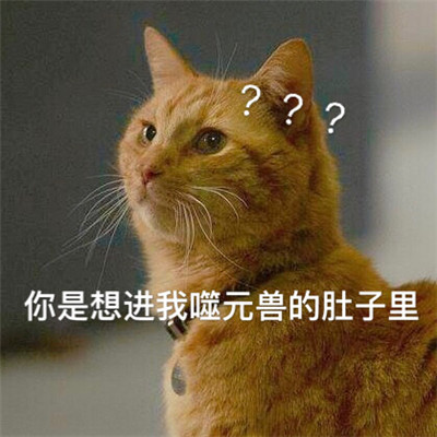 惊奇队长噬元兽表情包带字 惊奇队长橘猫噬元兽表情包图片无水印