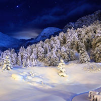 雪景的头像,唯美雪景图片,给树木披上了银装_0