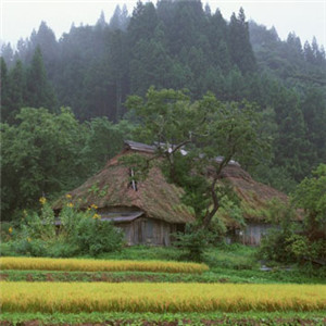 心灵的一方净土 有房子有风景的微信头像