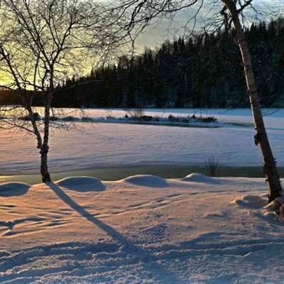 冬天雪景的微信头像 世上最美的雪景照片图片_4