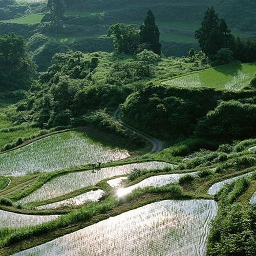 清新风景图片微信头像唯美，风景头像其实是最让心情好的_8