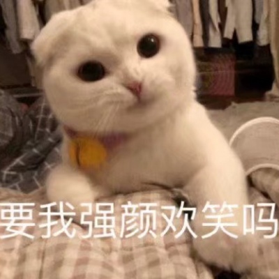 可爱小猫带字头像图片，我是不是你最爱的小猫咪_7