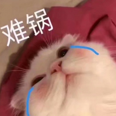 可爱小猫带字头像图片，我是不是你最爱的小猫咪_3