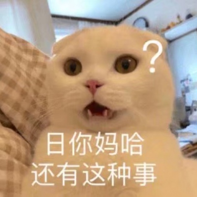 可爱小猫带字头像图片，我是不是你最爱的小猫咪_2