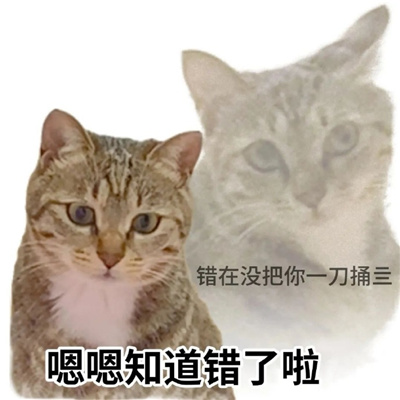 猫猫文字表情包张张可爱 很忙在给可乐吹气什么事