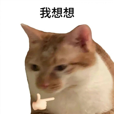 白底小猫表情可爱又搞怪 很好笑吗_1