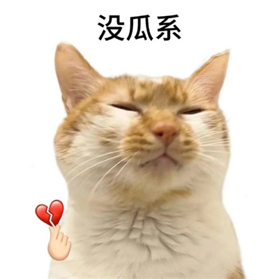 白底小猫表情可爱又搞怪 很好笑吗_2