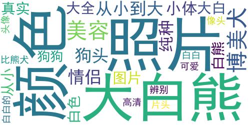 纯种比熊犬图片头像,可爱白白的太可人了_词云图