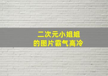 二次元小姐姐的图片霸气高冷