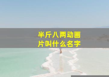 半斤八两动画片叫什么名字