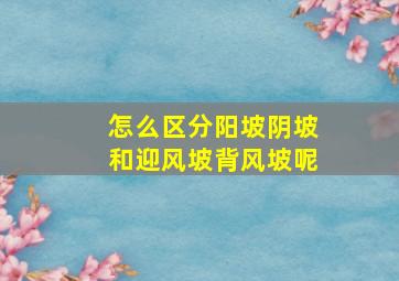 怎么区分阳坡阴坡和迎风坡背风坡呢