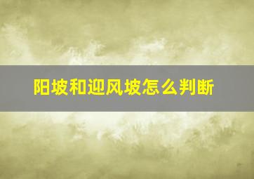 阳坡和迎风坡怎么判断