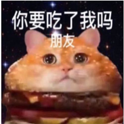 做旧星星眼鼻涕泡猫猫表情 近期超爱的表情_1