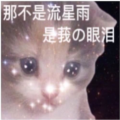 做旧星星眼鼻涕泡猫猫表情 近期超爱的表情_5