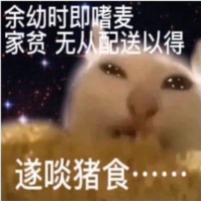 做旧星星眼鼻涕泡猫猫表情 近期超爱的表情_2