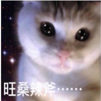 做旧星星眼鼻涕泡猫猫表情 近期超爱的表情_4