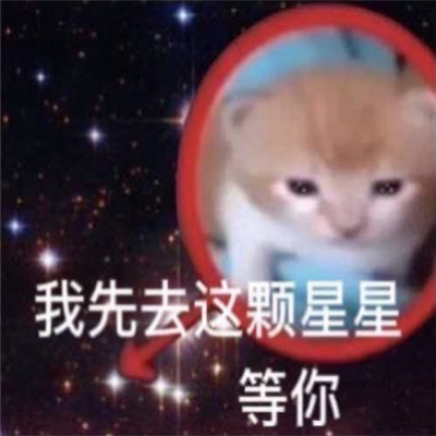 做旧星星眼鼻涕泡猫猫表情 近期超爱的表情_8