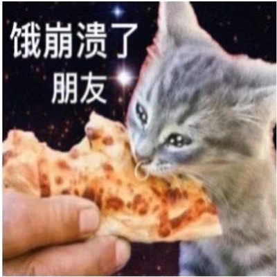 做旧星星眼鼻涕泡猫猫表情 近期超爱的表情_7