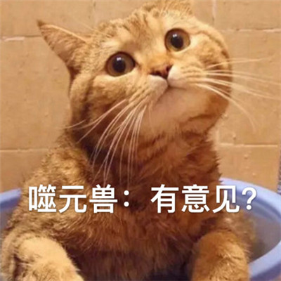 惊奇队长噬元兽表情包带字 惊奇队长橘猫噬元兽表情包图片无水印_5