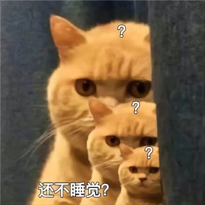 猫猫满脸问号的可爱聊天表情合集 猫头上有个问号的表情_3