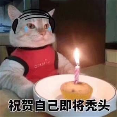 抖音最火生日快乐表情包 生日祝福表情包可爱搞笑_4