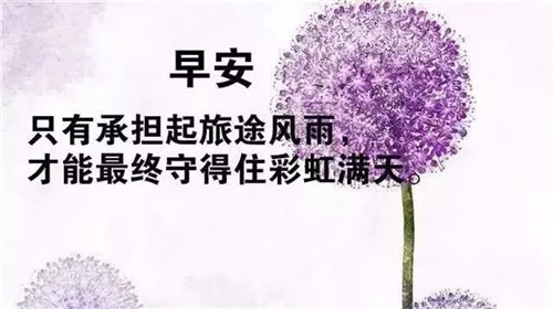 早安图片带字正能量2019 早安励志清新图片大全_5