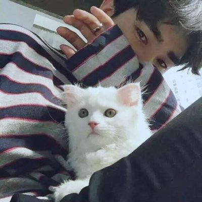 男生抱猫头像高清大全2019最新 好看的男生头像帅气有气质