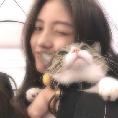 抱着猫咪的女生可爱头像大全2018 动了真心怎能说忘就忘_8