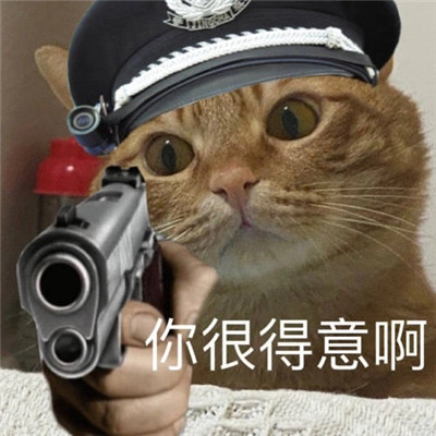 小猫咪警察搞笑表情包大全 不要靠近直接会坐牢_7