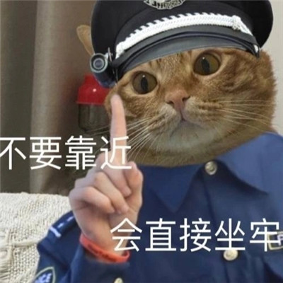 小猫咪警察搞笑表情包大全 不要靠近直接会坐牢_2