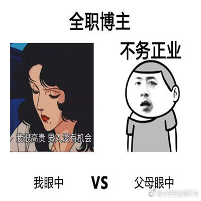 你眼中的工作vs父母眼中你的工作表情 真实的表情包写照_5