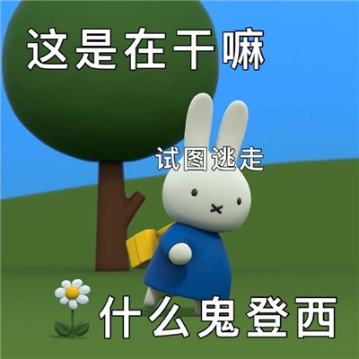 最新版的很萌很可爱米菲兔表情包 阴阳怪气的米菲兔文字表情大全_8