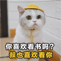 土味情话猫咪表情包带字 女孩我十拿九稳就差你一吻