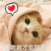 微信可爱猫咪表情包带字 你说什么我眼睛小听不清