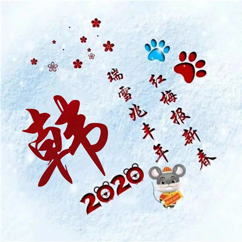 寓意吉祥好兆头的姓氏头像图片 瑞雪兆丰年 红梅报新春_8