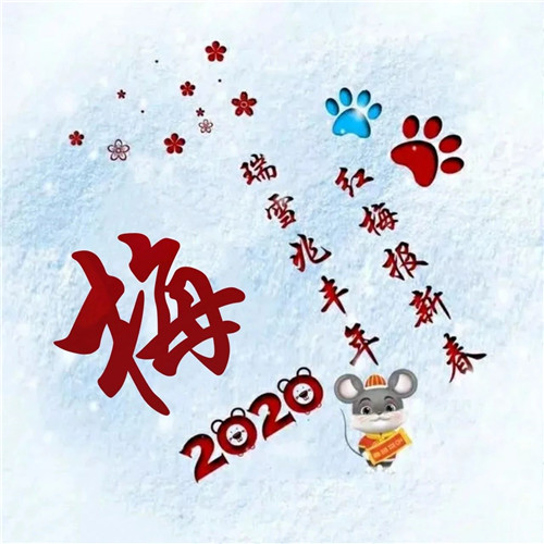 寓意吉祥好兆头的姓氏头像图片 瑞雪兆丰年 红梅报新春_11