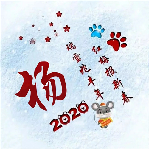 寓意吉祥好兆头的姓氏头像图片 瑞雪兆丰年 红梅报新春_12