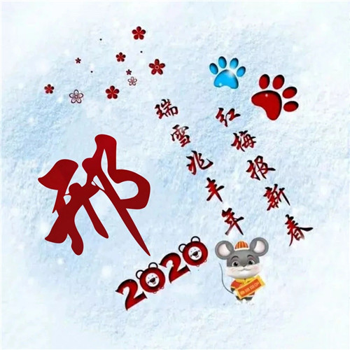 寓意吉祥好兆头的姓氏头像图片 瑞雪兆丰年 红梅报新春_14