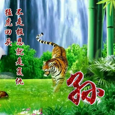 老虎姓氏头像 猛虎回头太霸气了