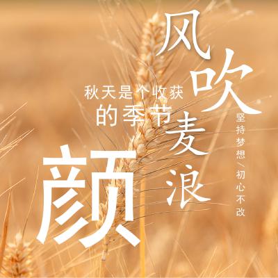 姓氏头像、秋天是个收获的季节，坚持梦想，初心不改_2