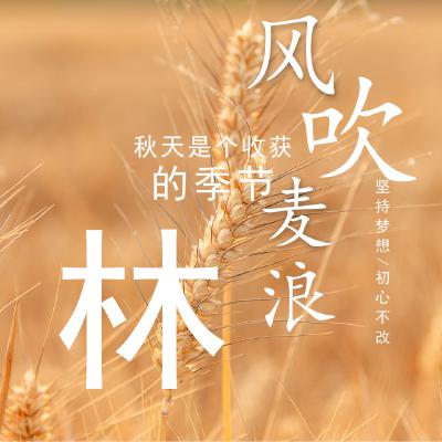 姓氏头像、秋天是个收获的季节，坚持梦想，初心不改_9