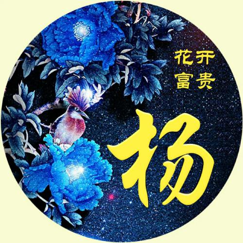 花开富贵姓氏微信头像，深蓝色背景黄颜色的字体_10