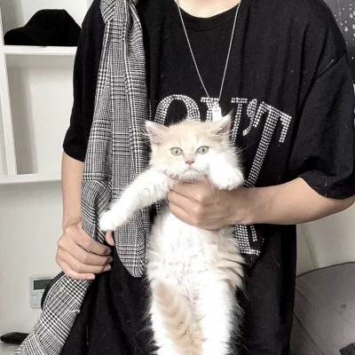 部位抱猫男头,高清不露脸的抱猫部位男生头像图片_6