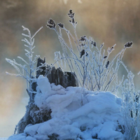 大美长白山冬季风景,最美的雪,有了阳光也有些暖意_1