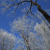 大美长白山冬季风景,最美的雪,有了阳光也有些暖意_4