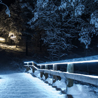 大自然雪景图片头像,使天地溶成了白色的一体_3