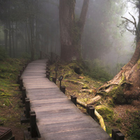 中国著名景点,高清风景头像,长城,故宫等美景_6