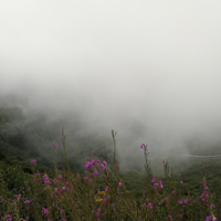 云里雾里大山风景头像图片,坨梁景区太美丽了_8